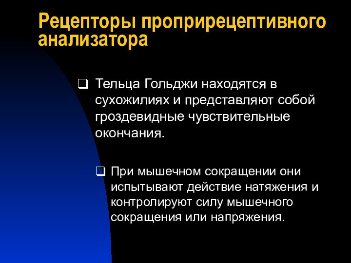 Рецепторы проприрецептивного анализатораТельца Гольджи находятся в сухожилиях и представляют собой гроздевидные чувствительные