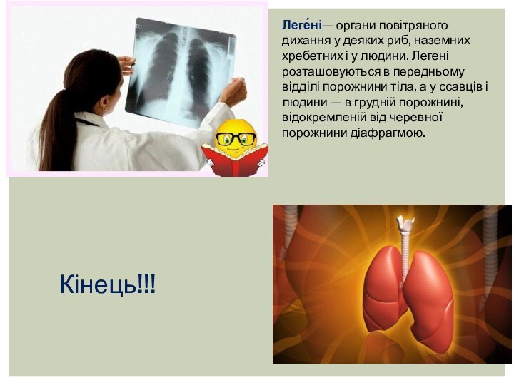 Леге́ні— органи повітряного дихання у деяких риб, наземних хребетних і у людини.