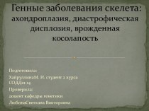 Генные заболевания скелета:ахондроплазия, диастрофическаядисплозия, врожденная косолапость