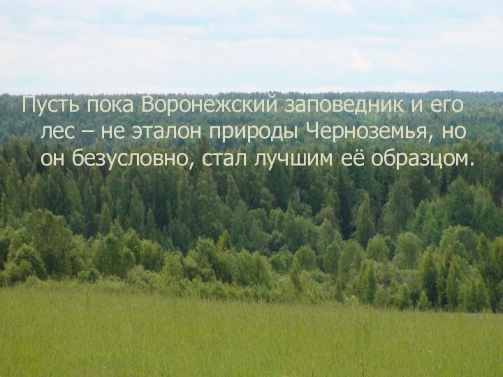 Пусть пока Воронежский заповедник и его лес – не эталон природы Черноземья,