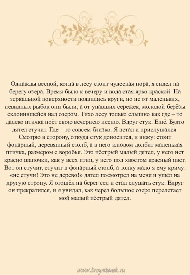 Однажды весной, когда в лесу стоит чудесная пора, я сидел на берегу