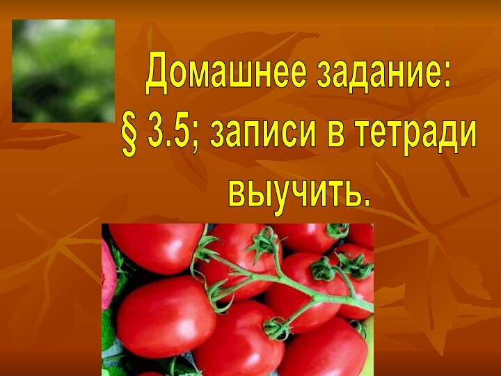 Домашнее задание: § 3.5; записи в тетради выучить.