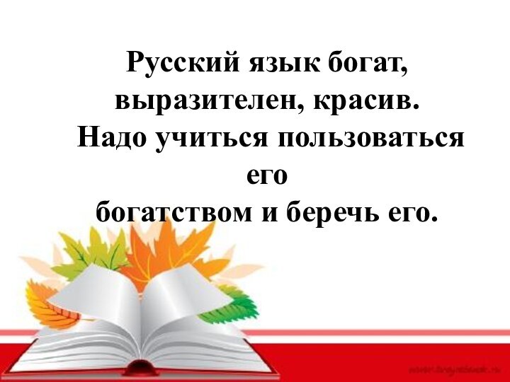 Русский язык богат, выразителен, красив. Надо учиться пользоваться егобогатством и беречь его.