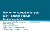 Изучение ихтиофауны реки Шачи района города Волгореченска