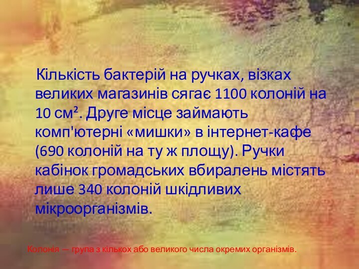 Кількість бактерій на ручках, візках великих магазинів сягає 1100 колоній