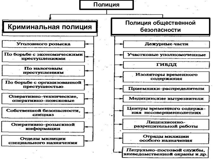 ПолицияПолиция общественной безопасностиКриминальная полиция