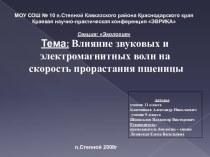 Влияние звуковых и электромагнитных волн на скорость прорастания пшеницы