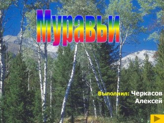 Муравьи