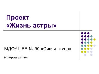 Проект Жизнь астры