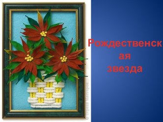 Рождественская звезда