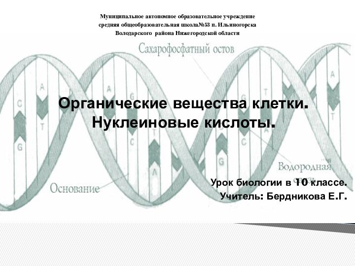 Органические вещества клетки. Нуклеиновые кислоты.Урок биологии в 10 классе.Учитель: Бердникова Е.Г.Муниципальное автономное