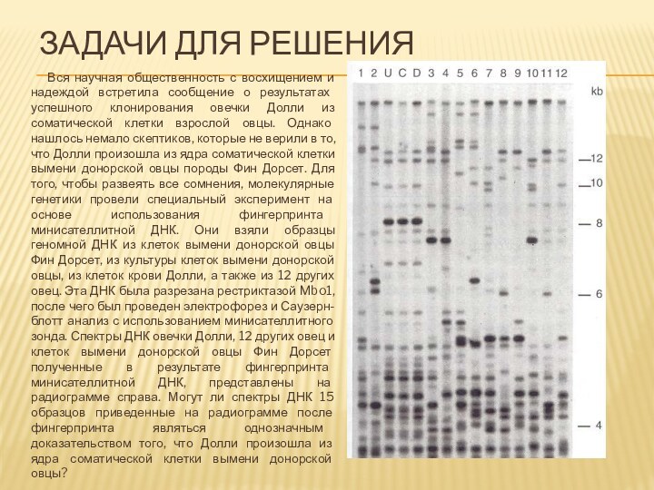 Задачи для решения      Вся научная общественность с