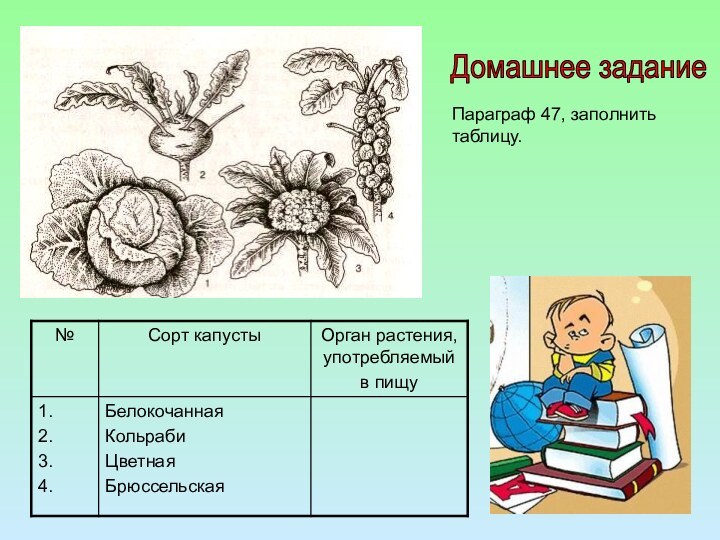 Домашнее заданиеПараграф 47, заполнить таблицу.