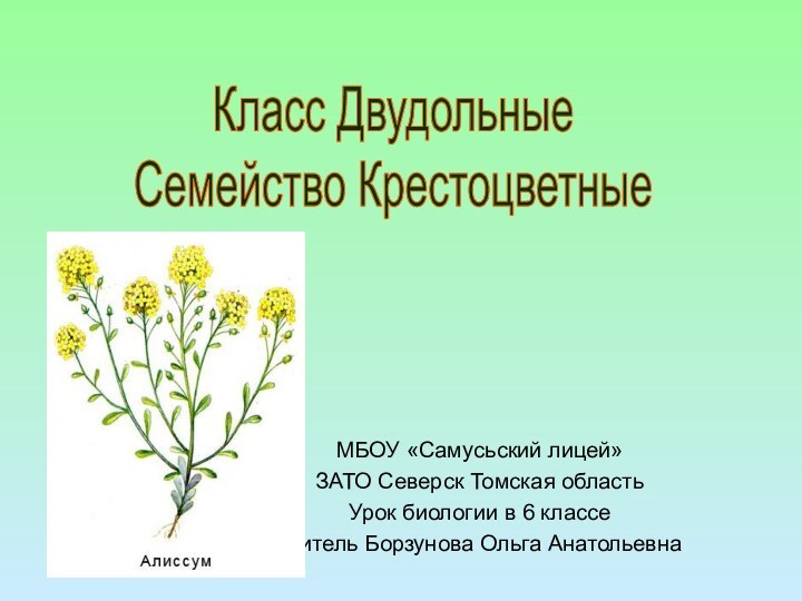 МБОУ «Самусьский лицей»ЗАТО Северск Томская областьУрок биологии в 6 классе учитель Борзунова Ольга АнатольевнаКласс ДвудольныеСемейство Крестоцветные