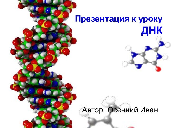 Презентация к уроку  ДНКАвтор: Осенний Иван