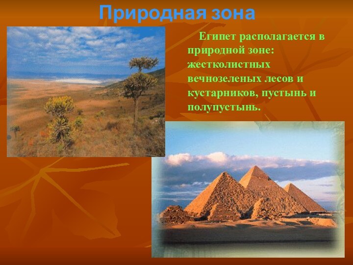 Природная зона      Египет располагается в природной зоне: