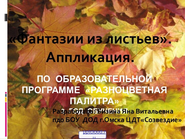 По образовательной Программе «Разноцветная палитра» 2 год обучения«Фантазии из листьев». Аппликация.Разработала: Бизина