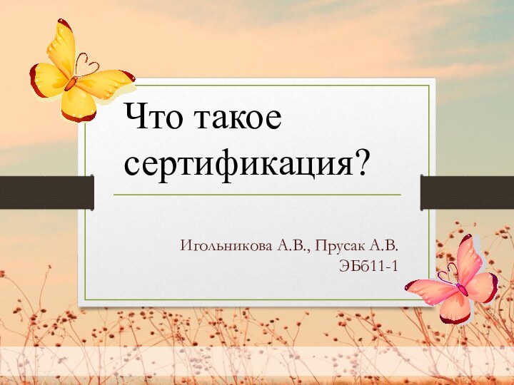 Игольникова А.В., Прусак А.В.ЭБб11-1 Что такое сертификация?