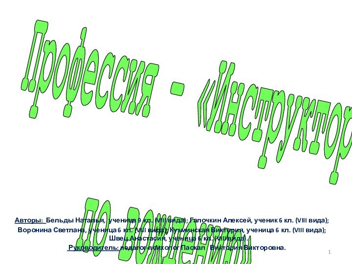 Профессия – «Инструктор по вождению»Авторы: Бельды Наталья, ученица 9 кл. (VIII вида);