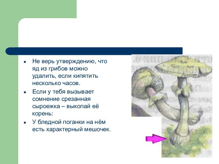 Не верь утверждению, что яд из грибов можно удалить, если кипятить несколько