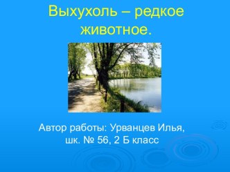 Выхухоль – редкое животное