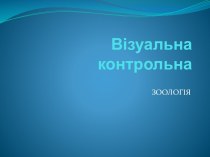 Візуальна контрольна