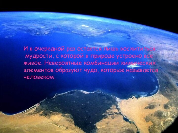 И в очередной раз остается лишь восхититься мудрости, с которой в природе