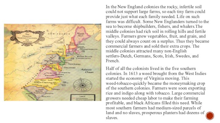 In the New England colonies the rocky, infertile soil could not support