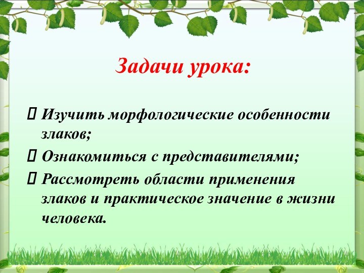 Задачи урока:Изучить морфологические особенности злаков;Ознакомиться с представителями;Рассмотреть области применения злаков и практическое значение в жизни человека.