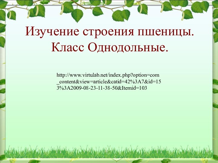 Изучение строения пшеницы. Класс Однодольные.http://www.virtulab.net/index.php?option=com_content&view=article&catid=42%3A7&id=153%3A2009-08-23-11-38-50&Itemid=103