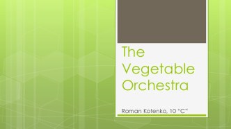 TheVegetable Orchestra
