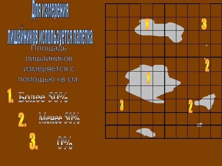 Площадь лишайников измеряется с помощью кв.см.1231.2.3.0%Менее 50%Более 50%213Для измерениялишайников используется палетка