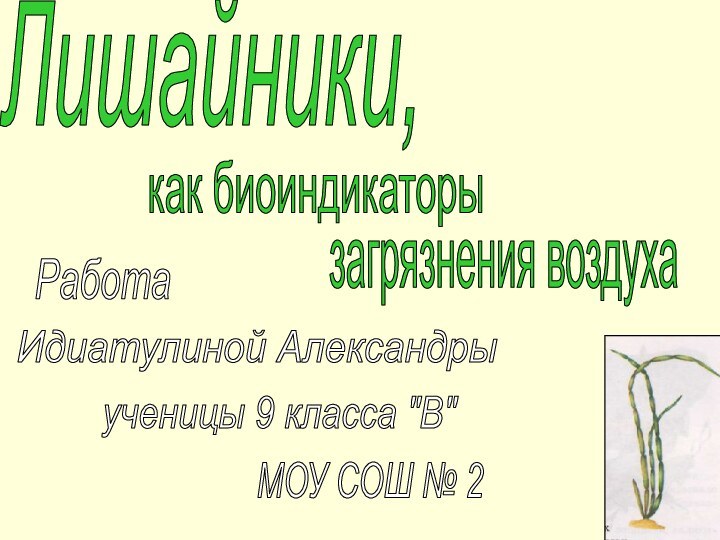 Лишайники,как биоиндикаторы загрязнения воздухаРаботаИдиатулиной Александрыученицы 9 класса 