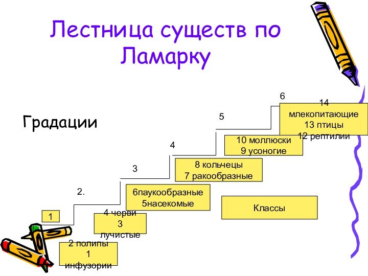 Лестница существ по ЛамаркуГрадацииКлассы12 полипы1 инфузории2.34564 черви3 лучистые6паукообразные5насекомые8 кольчецы7 ракообразные10 моллюски9 усоногие14 млекопитающие13 птицы12 рептилии