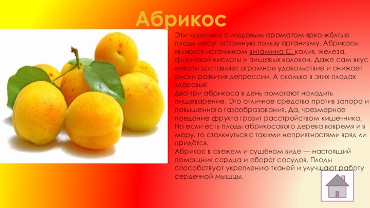 АбрикосЭти чудесные с медовым ароматом ярко-жёлтые плоды несут огромную пользу организму. Абрикосы