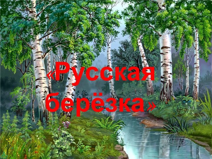 «Русская берёзка»