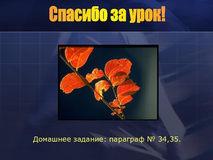 Спасибо за урок!Домашнее задание: параграф № 34,35.