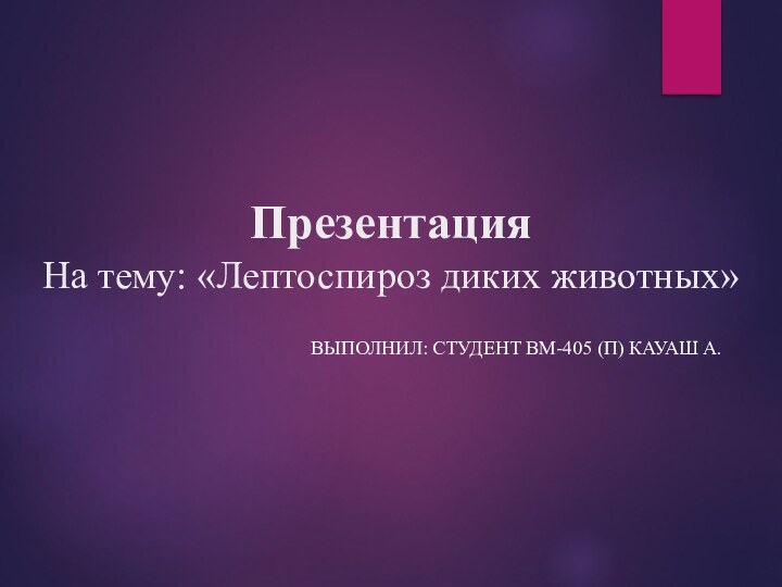 Презентация  На тему: «Лептоспироз диких животных»