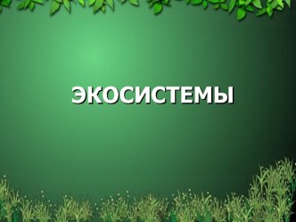 Экосистема болота