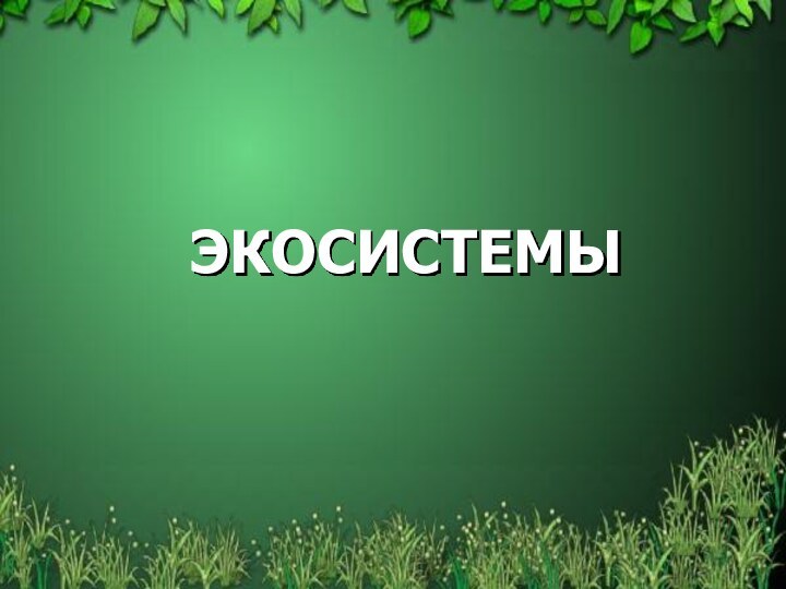 ЭКОСИСТЕМЫ