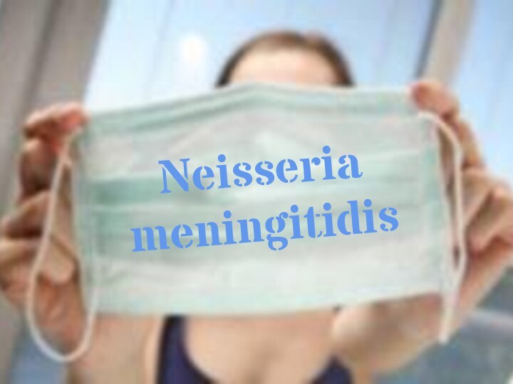 Neisseria meningitidis