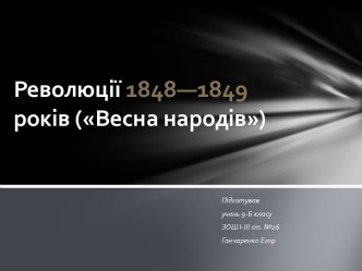 Революції 1848—1849років (Весна народів) 