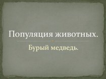 Популяция животных.