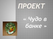 Проект: Чудо в банке