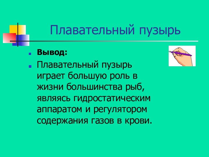 Плавательный пузырьВывод: Плавательный пузырь играет большую роль в жизни большинства рыб, являясь