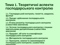 Теоретичні аспекти господарського контролю