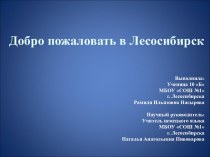 Добро пожаловать в Лесосибирск