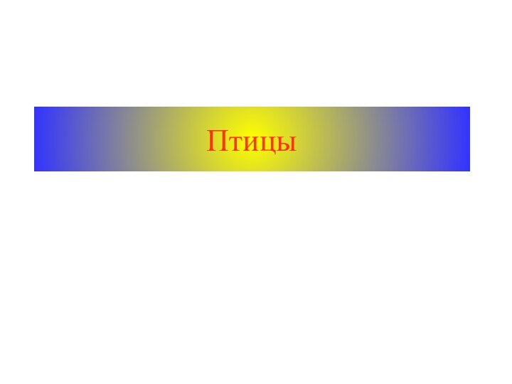 Птицы