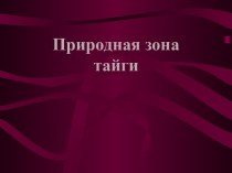 Природная зона России: Тайга