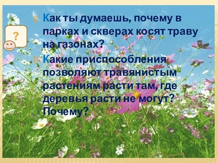 Давно не кошенная трава как пишется. Как скашивать траву на лугу 4 класс. Стишок про косьбу травы. Скошенная трава падеж.. Как вы думаете какие приспособления позволяют.